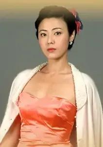 哪个台演小娘惹，2008年11月25日首播的《小娘惹》