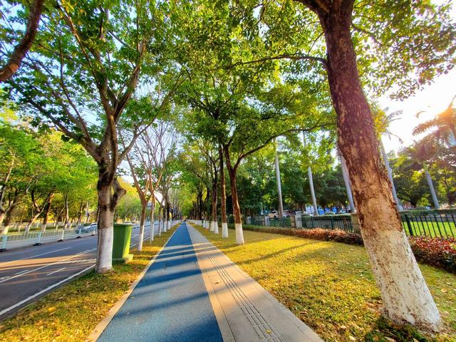 三星s10怎么样，三星s10有什么优缺点（三星S10究竟如何）