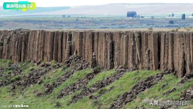 诺亚方舟的故事，诺亚方舟的故事介绍（被CIA隐藏50年禁书）