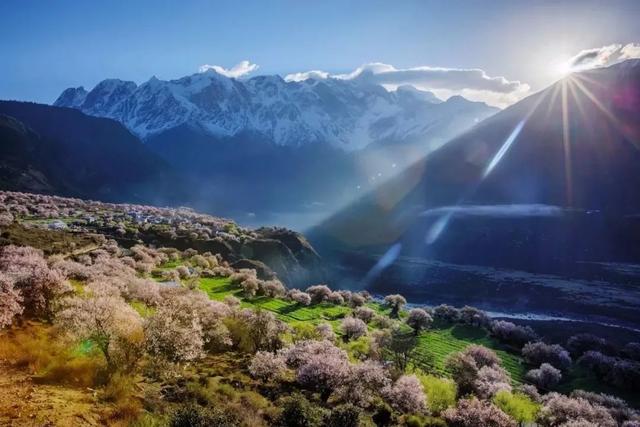 中国十大自然景观排名，中国五大自然景观（中国最美十大名山，你去过几座）