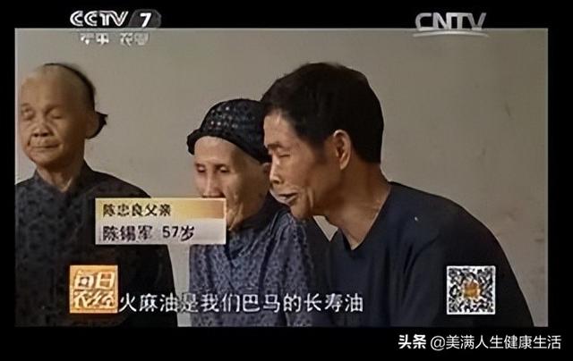 火麻油怎么吃，长寿之乡的饮食密码（什么是麻油）