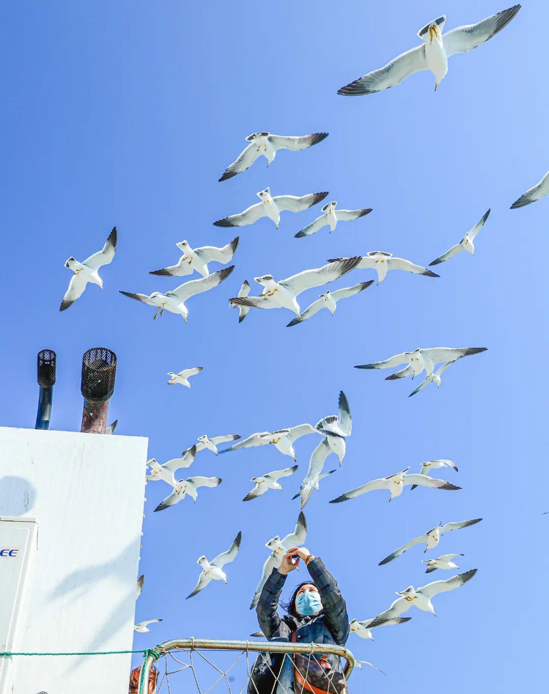 荣成风景区有哪些，荣成周边景点（来荣成这些打卡景区景点采撷好春光）