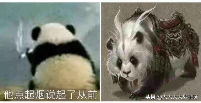 蚩尤骑熊猫什么梗，蚩尤当年骑的真是熊猫吗（蚩尤的坐骑其实是大熊猫）