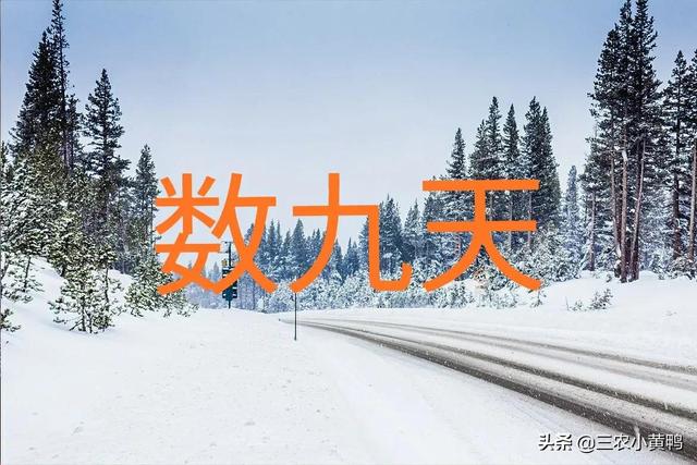 立春是2022的几月几日，2022年立春是几月几号几点几分（2022年数九怎么安排）