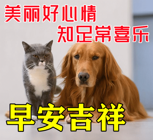 甜甜的早安语，甜甜的早安语给暗恋男友（4月27日最新早上好唯美祝福问候图片）