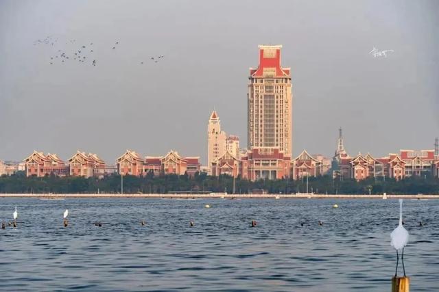 集美大学工商管理学院，集美大学诚毅学院有哪些专业和院系-什么专业比较好（新集大人注意啦！！！）