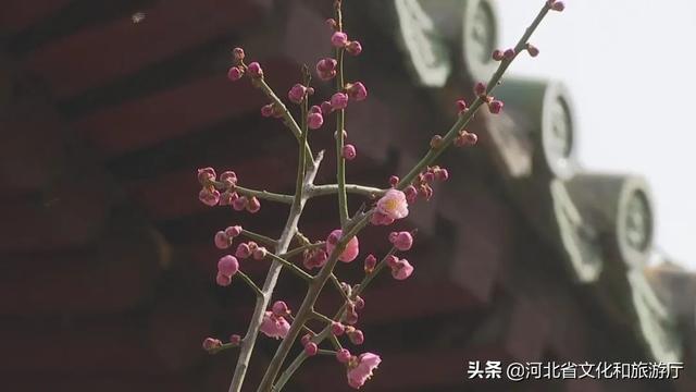 正定旅游景点有哪些，正定的旅游景点有哪些（微游河北<20>）