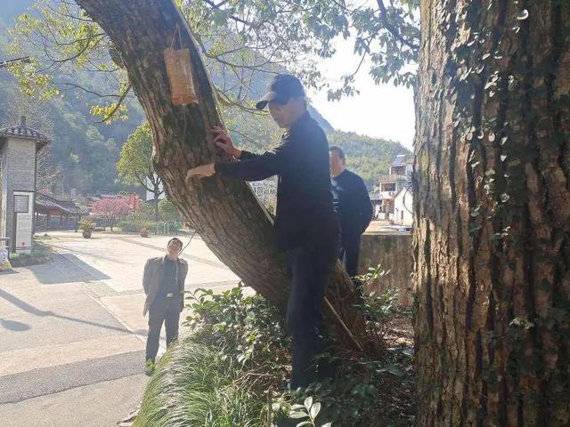 浦江是什么省什么市，浦江是哪个市的（浦江县这两个“公园”有了新身份）