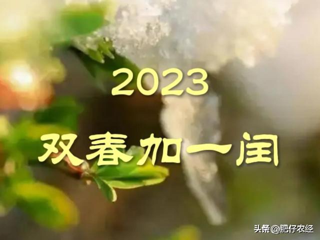 2022年属蛇人永远最旺的颜色，生肖属蛇的幸运颜色（也被称为黑兔年）