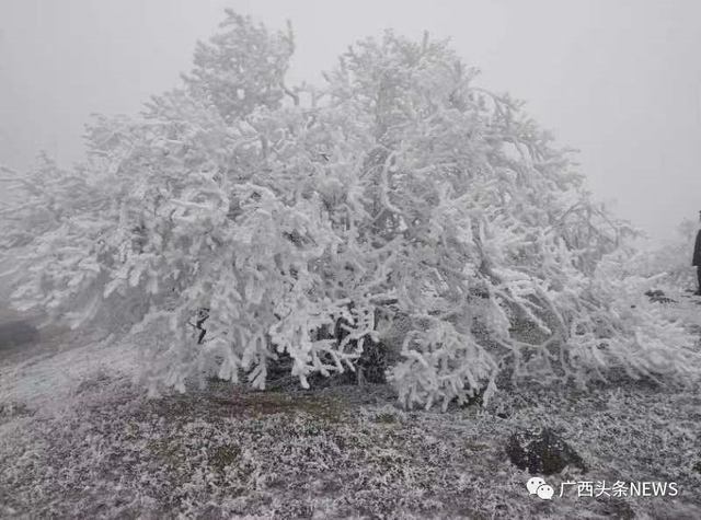 天气预报明天穿什么，明天建议穿什么衣服（但22日起又有一股冷空气）