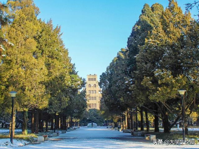 陕西理工大学排名，陕西理工大学最新排名（2022陕西省大学排名）