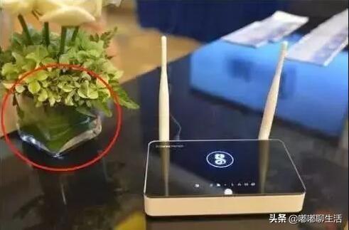 5g路由器延迟高怎么解决（路由器信号增强的妙招）