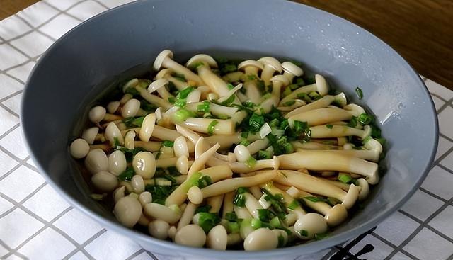 蘑菇有哪些，可以食用的蘑菇有哪些（秋季要多吃蘑菇）