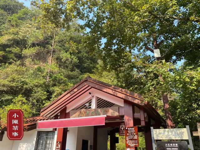 武夷岩茶之马头岩九龙窠肉桂，武夷岩茶入门