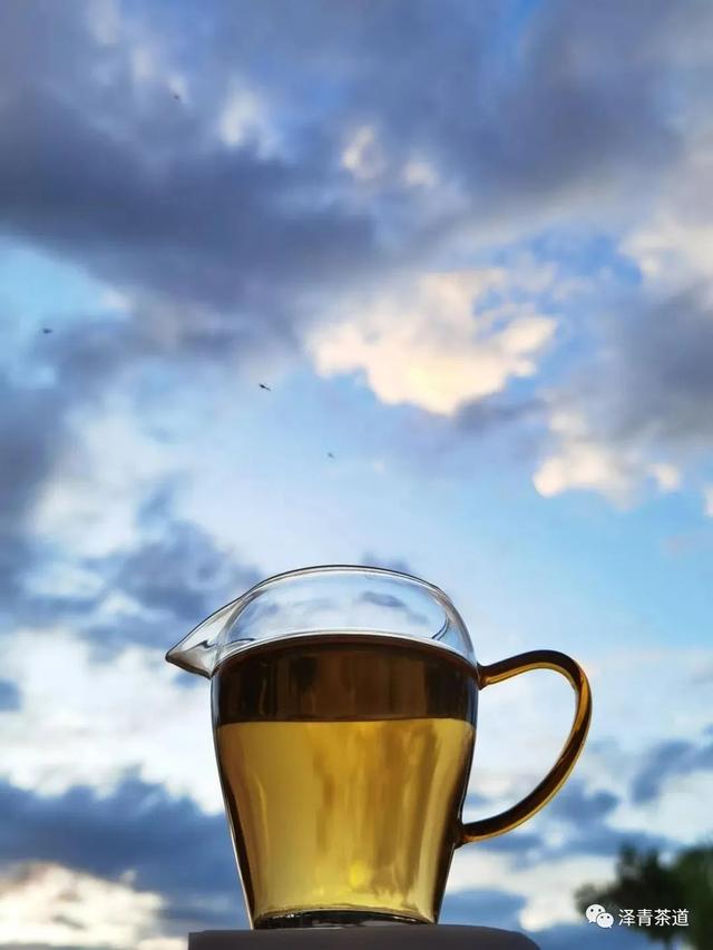 倚邦普洱茶特点，倚邦普洱茶特点口感（普洱茶的冷知识—普洱茶之最）