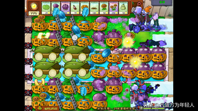 植物大战僵尸无尽版攻略，植物大战僵尸无尽版攻略秘籍（植物大战僵尸最佳阵型分析）