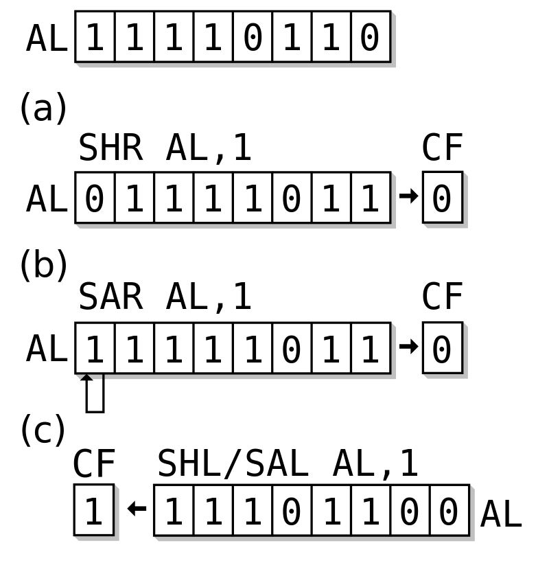 初学编程100个代码大全_最基础的编程代码