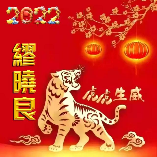 虎年头像微信，虎年头像（2022虎年专版全名微信头像）
