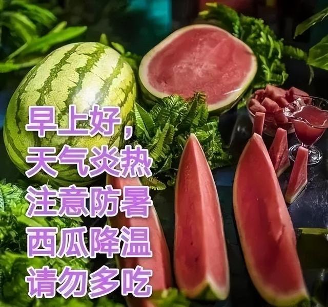 早晨的说说唯美句子，早晨充满正能量的句子（早安心语问候语录大全）