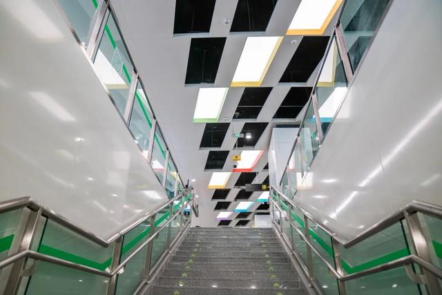 豹龟结石，昆明地铁5号线，首！发！见（肾结石会有啥症状）