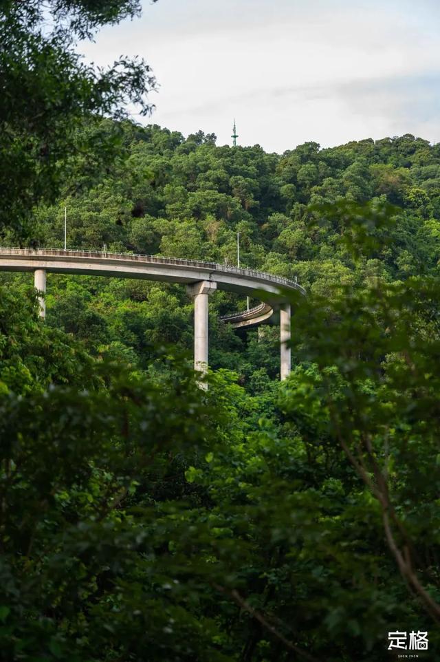 深圳旅游景点大全介绍，深圳的旅游景点有哪些地方（来深圳这10个地方玩吧）