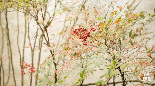 人生如梦下一句，人生如梦的下一句是什么（读读苏东坡这10句话）