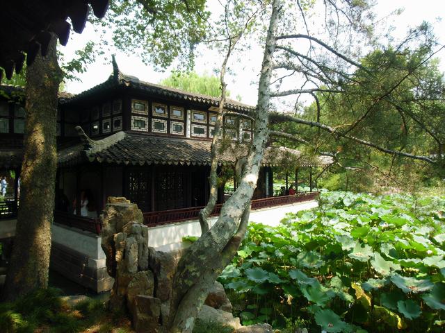 描述拙政园里的石舫，对拙政园的描写（金秋荷香——苏州拙政园<十>）