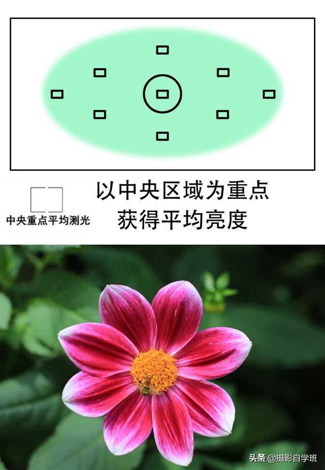 逆光是什么意思，拍摄逆光是什么意思（告诉你选对测光模式的重要性）
