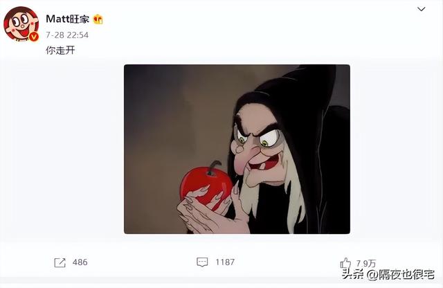 旺旺名是什么，旺旺名是什么名还是淘宝昵称（因“高调爱国”冲上热搜第一的旺旺）