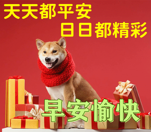 关于美好祝福的句子，关于美好祝福的句子简短（朋友圈早安带字问候朋友图片）