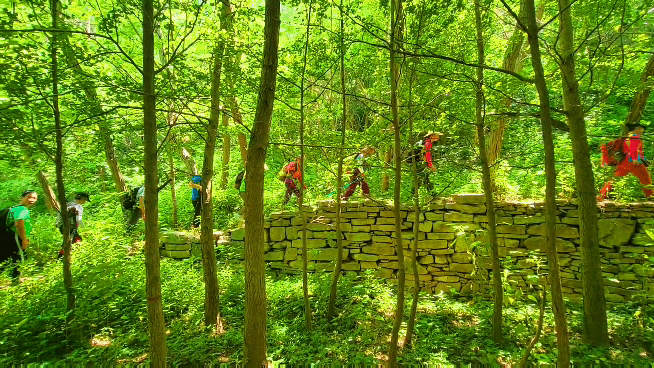 厦门龙洞风景区，厦门龙洞风景区门票多少（厦门龙洞：罕见的峡谷地貌）