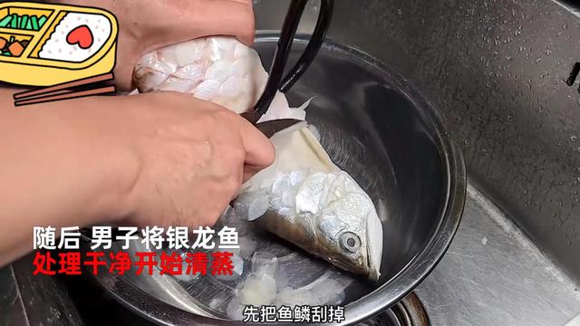 银龙鱼价格多少钱一只，龙鱼一般多少钱（可以先从饲养银龙练手）