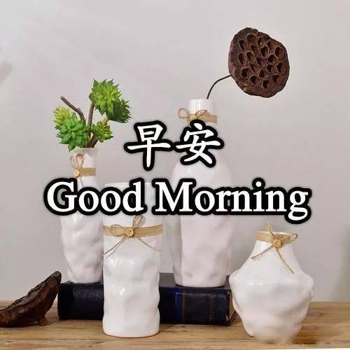 简短每日寄语，简短每日祝福语（早上好每天一句祝福语）