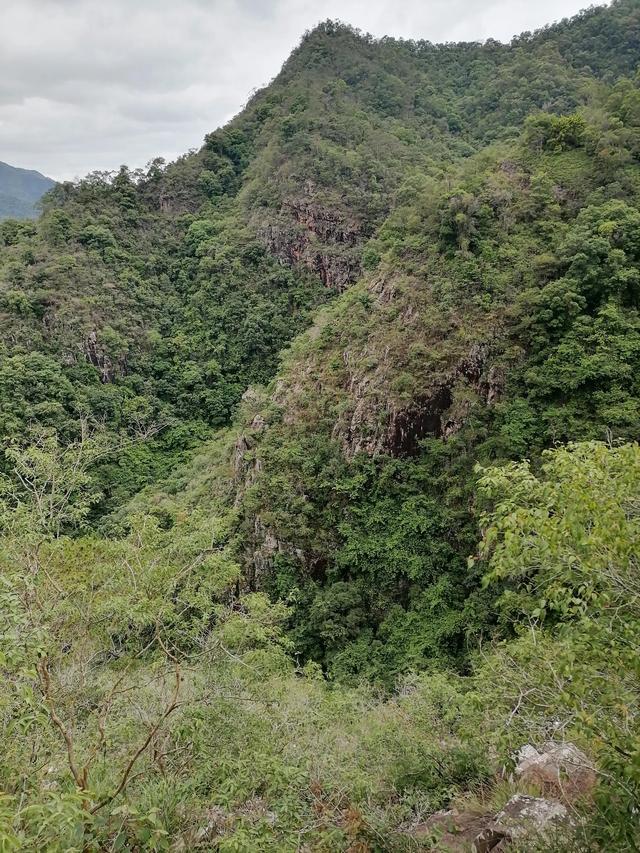 大自然的搬运工，大自然的搬运工是什么动物（大自然的搬运工是什么动物日记）