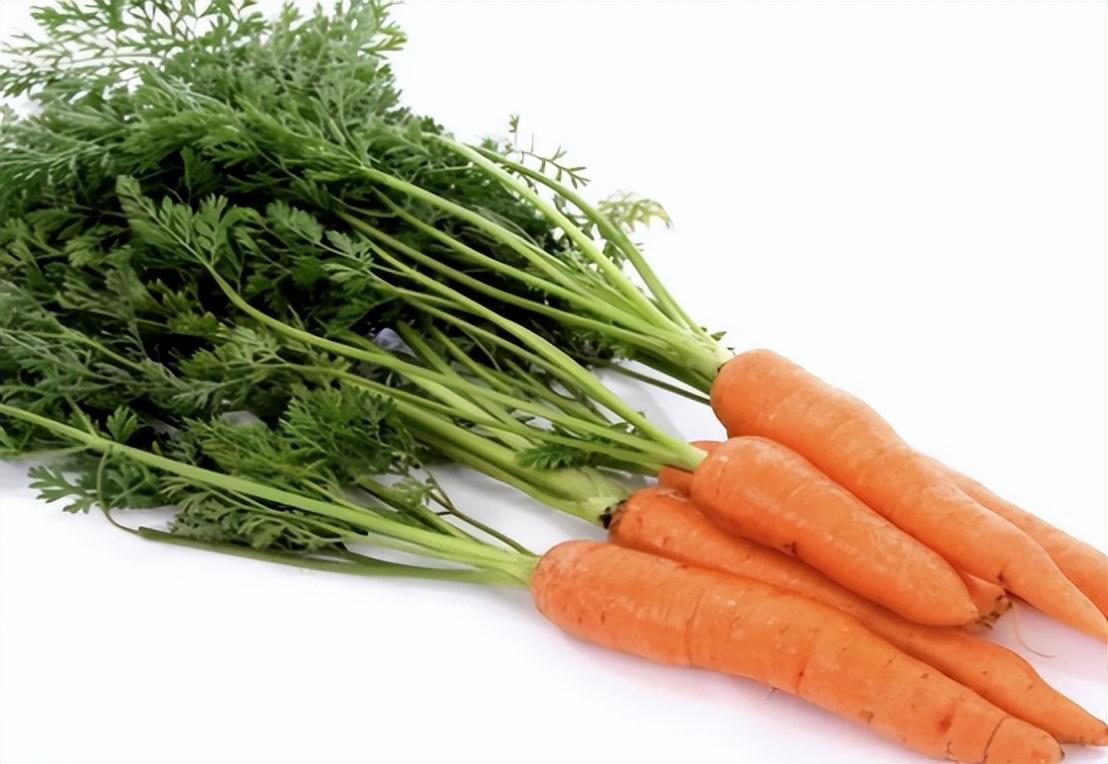 山胡萝卜籽多少钱一斤(胡萝卜种子遭日本) - 价格百科