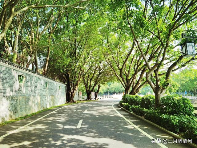 游记西湖景点，漫步惠州西湖