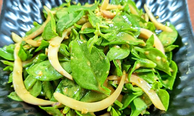 三七食用方法，三七食用方法和功效（黄瓜、苦瓜靠边站）