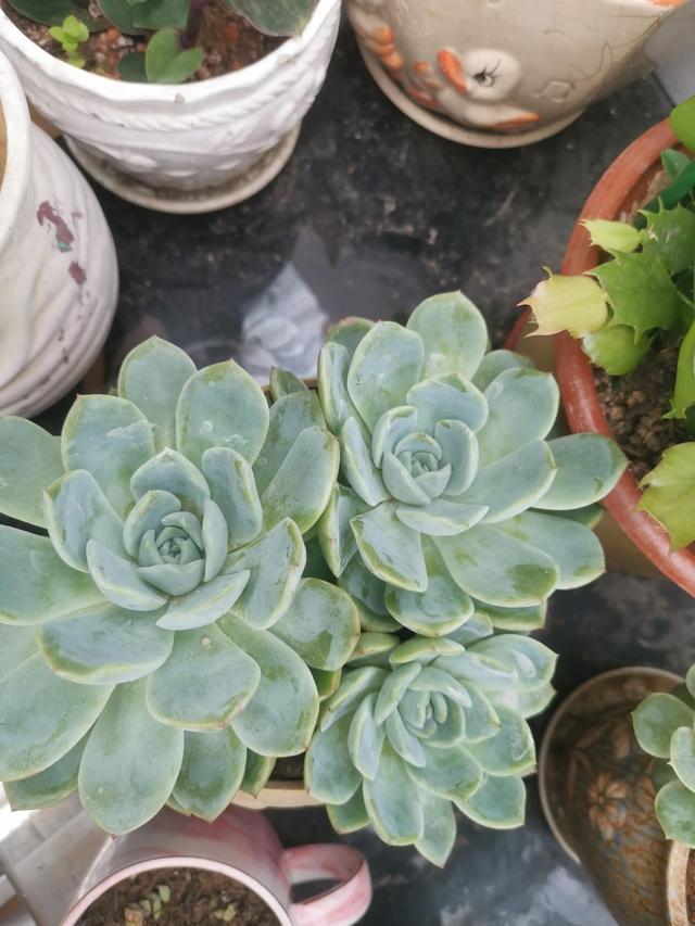 有哪些好听的网名，好看又好听的网名400个（都是些什么名字呢）