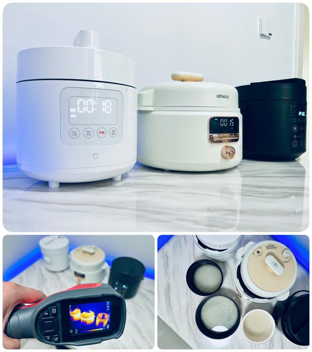 电压力锅炖排骨，电压力锅炖排骨做法（攻略+横评+实测）