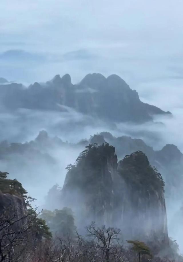 十大名茶之黄山毛峰，黄山毛峰多少真假