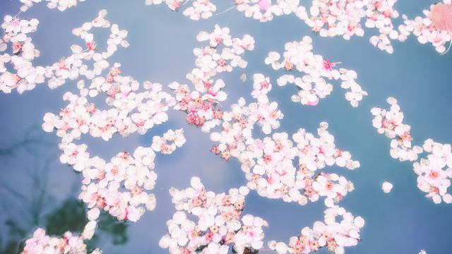 笔名大全男生冷漠，男生名字帅气冷漠小名（连对你的称呼都会发生改变）