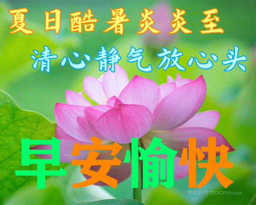 6字唯美短句，爱情的句子唯美短句（夏日天热防暑温馨早上好日常祝福语精选）