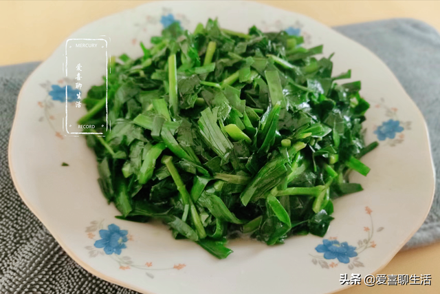 韭菜多少钱一斤，今日全国韭菜批收价格（春天少吃菠菜白菜多吃韭菜）