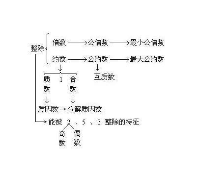 合数的概念是什么，质数偶数基数合数的概念是什么（数学：互质数的判断与应用）