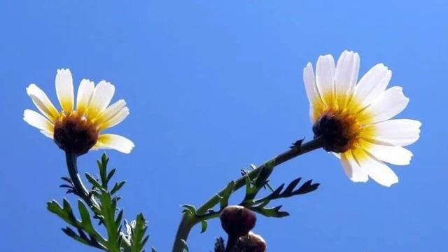文件怎么发朋友圈，Word如何发送到朋友圈（适合发朋友圈做文案的好句子）