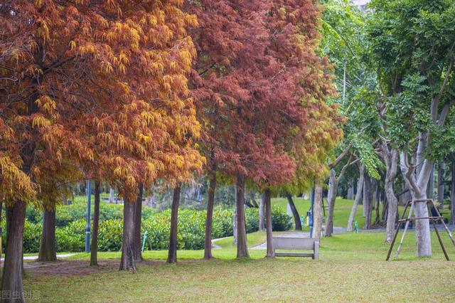 去厦门必去的几个地方，厦门必去的几个景点（这8个好玩又好拍的免费游玩圣地）