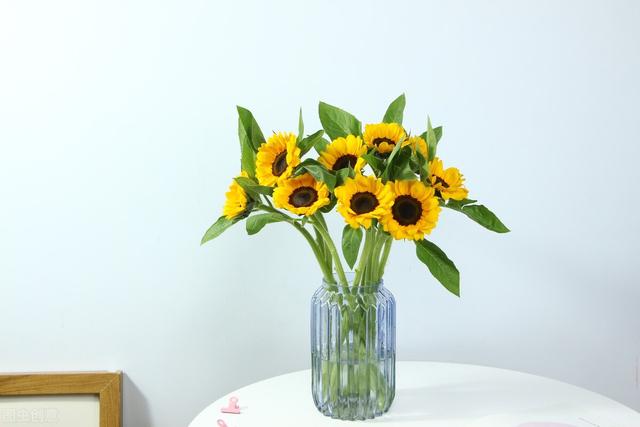 经典语录短句励志唯美，经典语录短句励志唯美简短（保持好心态的励志句子）