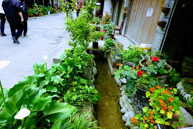 彭州太阳湾风景区，彭州太阳湾景区下雪（<5>彭州·海窝子古镇）