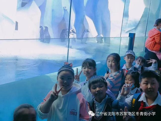 皇家极地海洋世界，带孩子去极地海洋世界（呵护蔚蓝”——冬青街小学研学之旅）