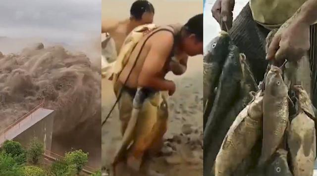 细沙的密度（大量鱼类被拍死在岸上）